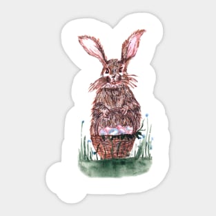 Easter Bunny Sticker